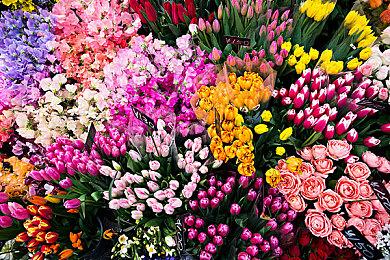 世界最畅销书《圣经》登陆Steam 灵活阅读随时存储